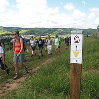 Vom Liber Scivias bis zum Skywalk
